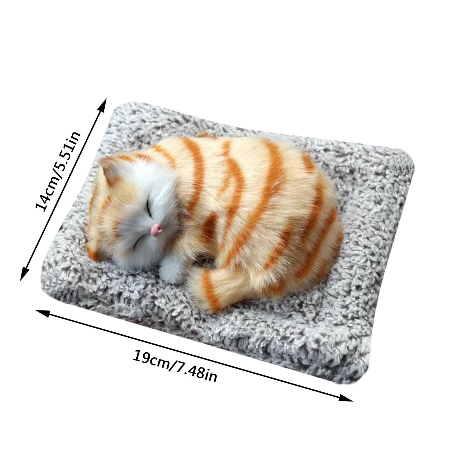 Amazon.co.jp: Whxqvui リアルな毛皮で寝ている赤ちゃん猫